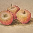 appleswithfcpolychromos2400