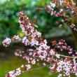 DSC_2651_2400