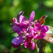 DSC_2684_2400