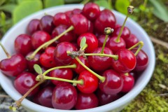 Zwischendurch Fotografiertes Sommer 24