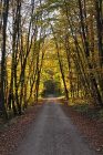 Herbstweg im Klettgau