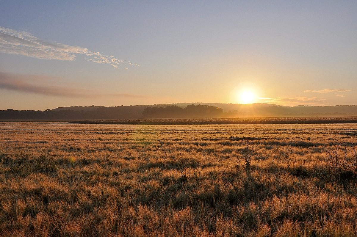 Sonnenaufgang am 1. Juli 2014 in Oberlauchringen (Foto: Martin Dühning).