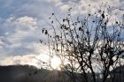 Im tiefen Mittwinter verschwindet die Sonne schon um 15:00 Uhr wieder hinter dem Berg, schön aber, wenn sie davor wenigstens mal kurz vorbeigeschaut hat... (Foto: Martin Dühning)