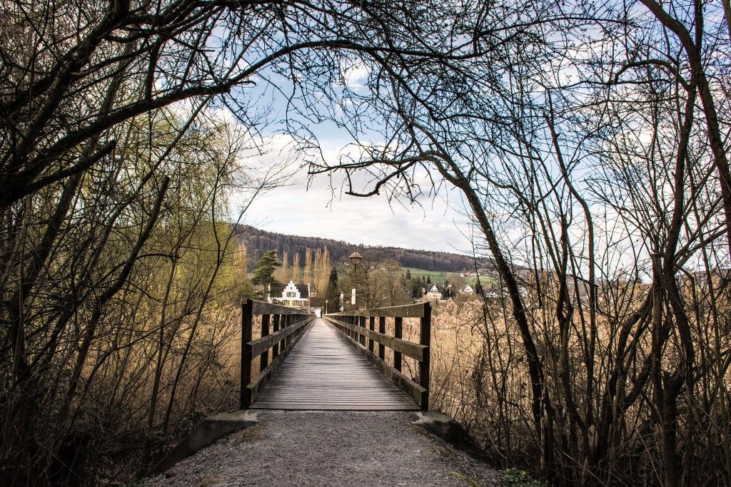 Der Eingang zur Franziskanerinsel Werd in Eschenz ist relativ gut versteckt und nicht ganz leicht zu finden, wenn man nicht weiß, wo man zu suchen hat. (Foto: Martin Dühning)