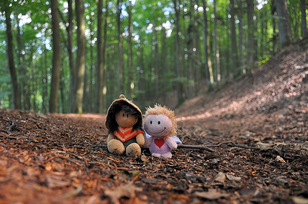 Verschnaufpause im Wald (Foto: Martin Dühning)