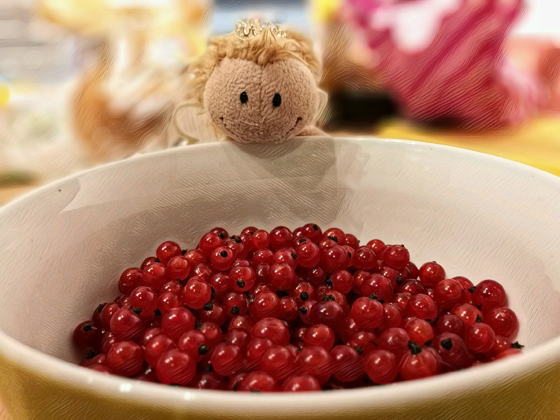 Johannisbeerente in Südninda (Foto: Rosa Dudelspru)