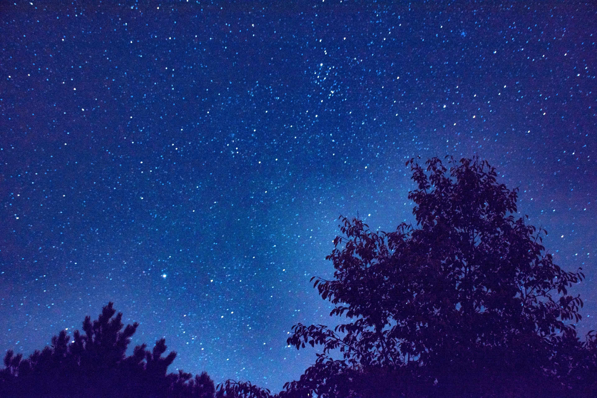 Sternenhimmel im heimischen Garten am 12./13. August 2018 (Foto: Martin Dühning)