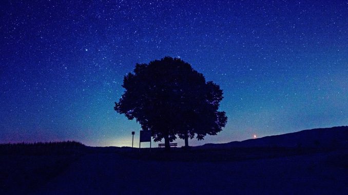 Linde unter dem Sternenhimmel (Foto: Martin Dühning)