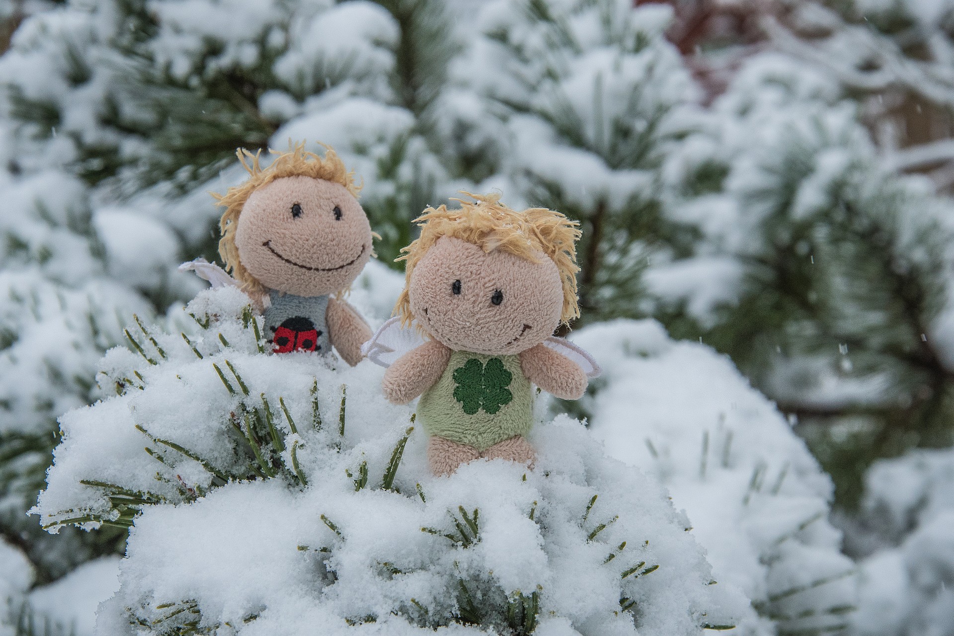 Kara und Luisa im Schnee (Foto: Martin Dühning)