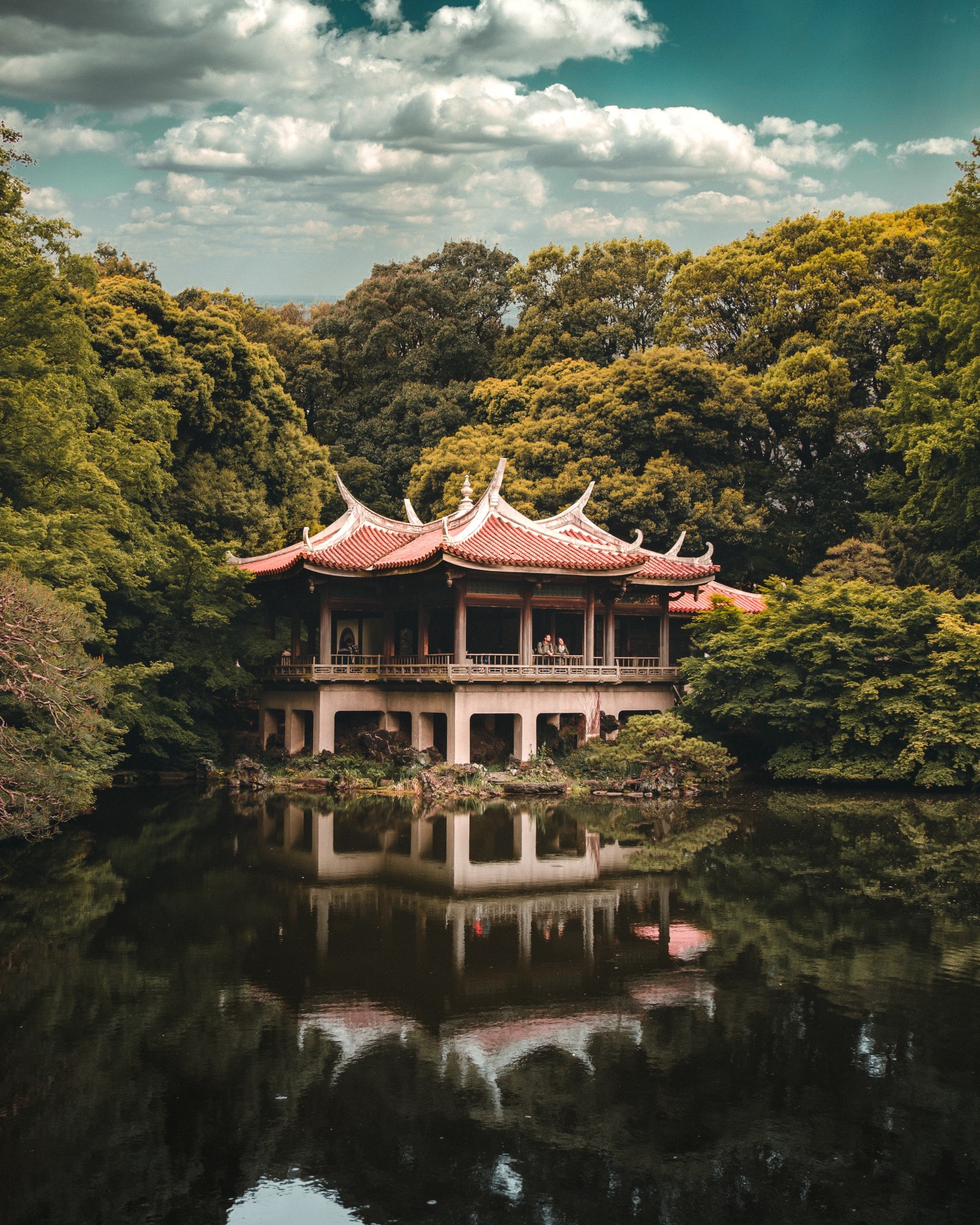 Garden of Words (Foto: Sunil Poudel via Pexels)