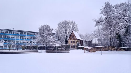 Schneeidyll in Waldshut (Foto: Martin Dühning)