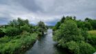 Grüne Illusion der Wutach bei Unterlauchringen (Foto: Martin Dühning)