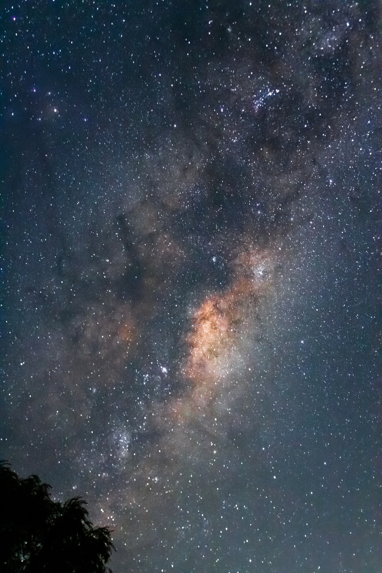 Sternenfeld (Foto: Oscar Sanchez via Pexels)