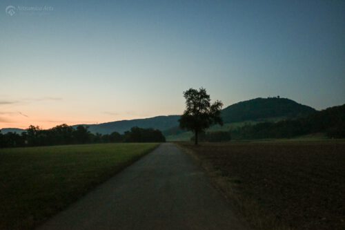 Der Radweg von Oberlauchringen nach Bechtersbohl in der Morgendämmerung (Foto: Martin Dühning)