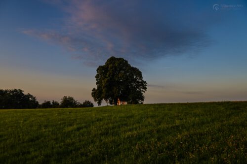 Die Kapelle von Baltersweil im Morgenrot (Foto: Martin Dühning)