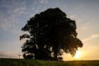 Morgensonne bei der Kapelle von Baltersweil (Foto: Martin Dühning)