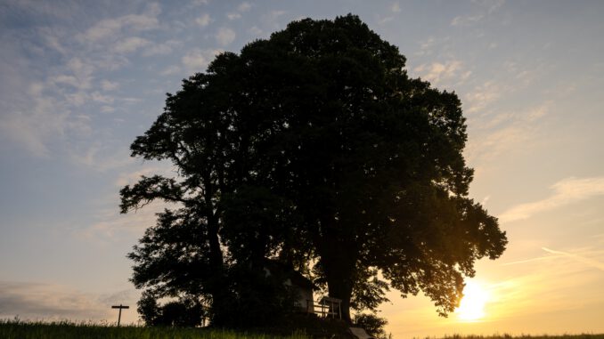 Morgensonne bei der Kapelle von Baltersweil (Foto: Martin Dühning)