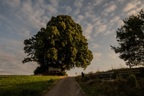 Morgenstimmung bei der Kapelle von Baltersweil (Foto: Martin Dühning)