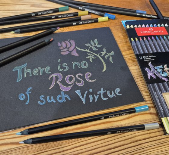 "There is no Rose of such Virtue" - getestet mit Faber-Castell Blackedition Metallic Buntstiften (Grafik: Martin Dühning)