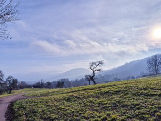 Bergweg bei Oberlauchringen mit Blick auf die Küssaburg am 1. Januar 2025 (Foto: Martin Dühning)