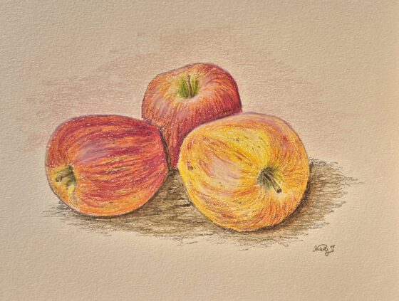 So sehen die mit Prismacolor Premier Stiften gezeichneten Äpfel aus (Grafik: Martin Dühning).