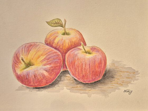 Äpfel, gemalt mit Derwent Inktense Zeichentusche und einer Weißkohle (Grafik: Martin Dühning)