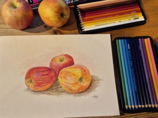 Äpfel, mit Prismacolor-Stiften gezeichnet (Foto und Grafik: Martin Dühning)