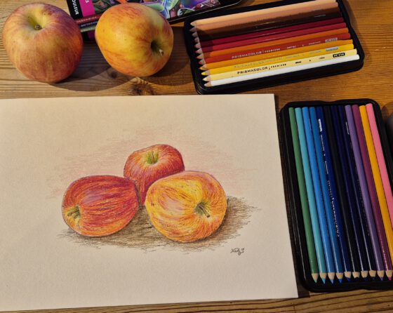 Äpfel, mit Prismacolor-Stiften gezeichnet (Foto und Grafik: Martin Dühning)