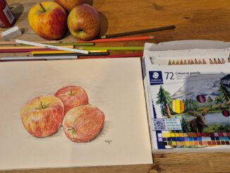 Äpfel, gemalt mit den Staedtler 146C Buntstiften (Foto und Grafik: Martin Dühning)