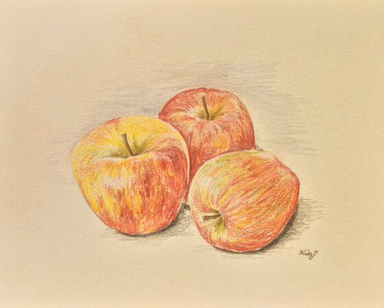 Die drei Äpfel, gemalt mit den Staedtler Buntstiften der Serie 146C (Grafik: Martin Dühning).