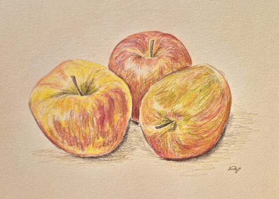 Die drei Äpfel, gemalt mit den Staedtler Buntstiften der Serie 149C (Grafik: Martin Dühning)