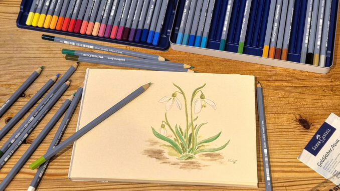 Schneeglöckchen, gemalt mit Faber-Castell Goldfaber Aqua Aquarellstiften (Foto und Grafik: Martin Dühning)