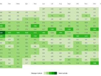 Einsichten in die Anastratin-Seiten von 2008 bis zum März 2025