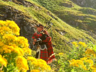 Musiker in Schottland (Foto: Gene Taylor via Pexels)